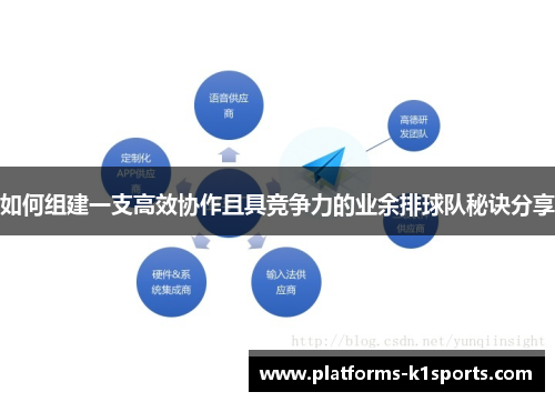 如何组建一支高效协作且具竞争力的业余排球队秘诀分享