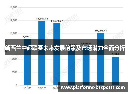 新西兰中超联赛未来发展前景及市场潜力全面分析