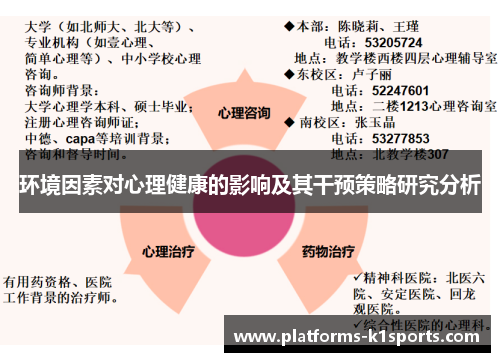 环境因素对心理健康的影响及其干预策略研究分析