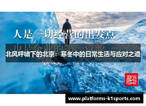 北风呼啸下的北京：寒冬中的日常生活与应对之道