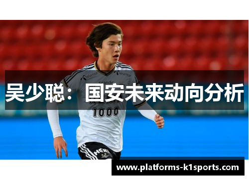 吴少聪：国安未来动向分析