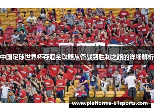 中国足球世界杯夺冠全攻略从备战到胜利之路的详细解析