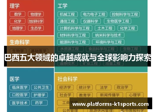 巴西五大领域的卓越成就与全球影响力探索