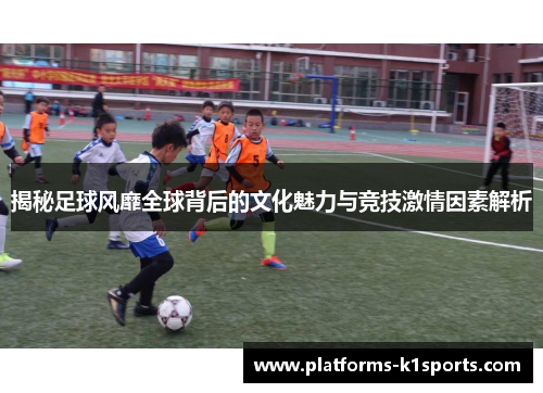揭秘足球风靡全球背后的文化魅力与竞技激情因素解析
