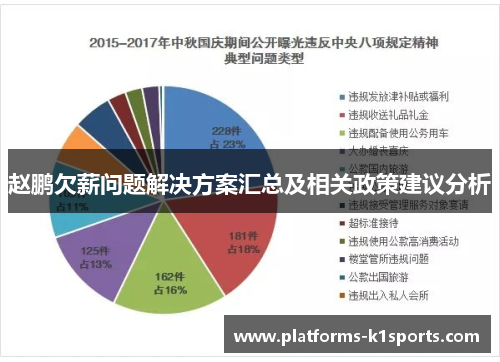 赵鹏欠薪问题解决方案汇总及相关政策建议分析