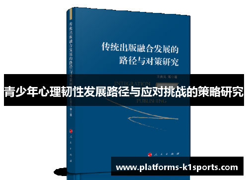青少年心理韧性发展路径与应对挑战的策略研究